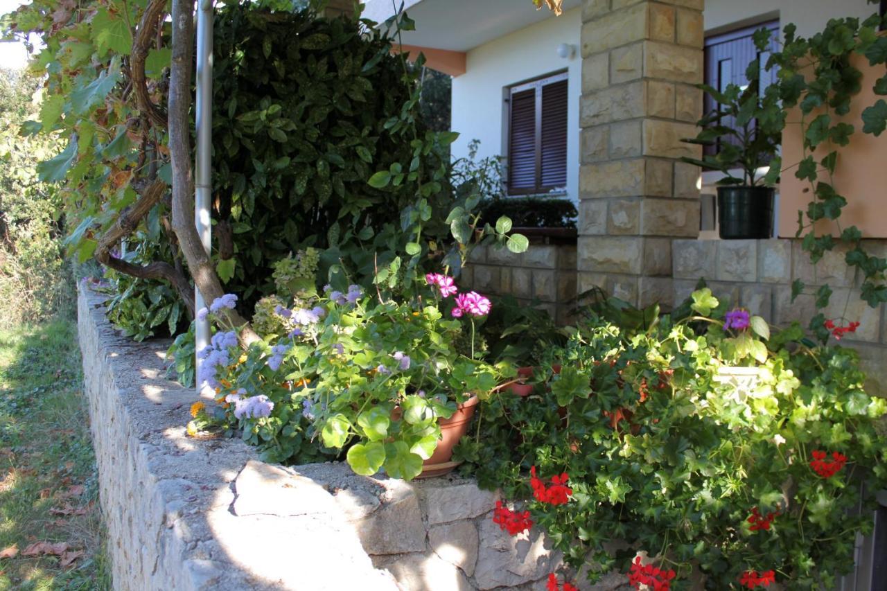 Family Friendly Seaside Apartments Kozino, Zadar - 5749 Petrcane Esterno foto